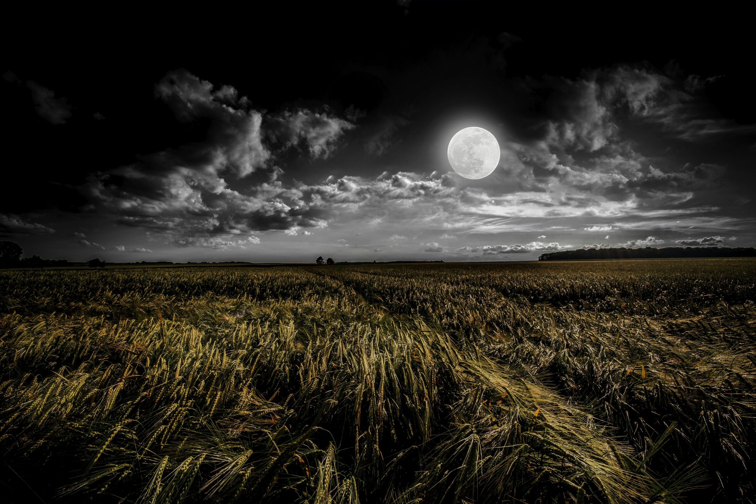 farm night